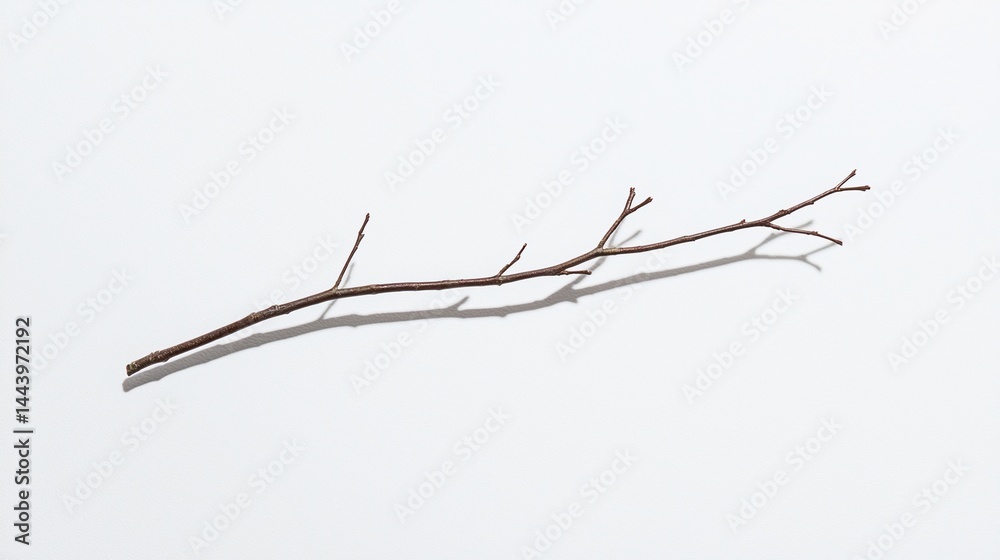 Fototapeta premium A single dry twig rests on a plain white background, casting a soft shadow.