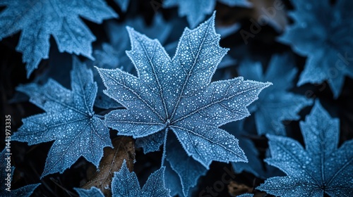 Obraz na płótnie Frozen maple leaves close-up w salonie