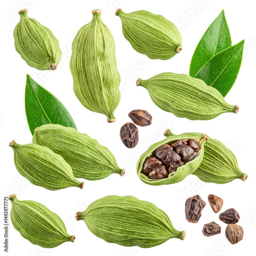 Cardamom collection with leaves isolated on white or transparent png 