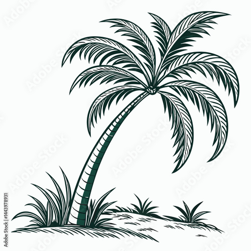palm tree silhouette