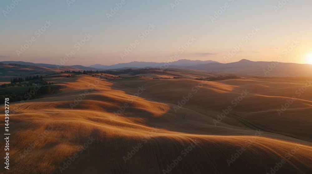 Naklejka premium Aerial 8K ultra-detailed cinematic view of golden wheat fields at sunrise, subtle wind waves and a clear, serene blue sky enhancing the peaceful atmosphere