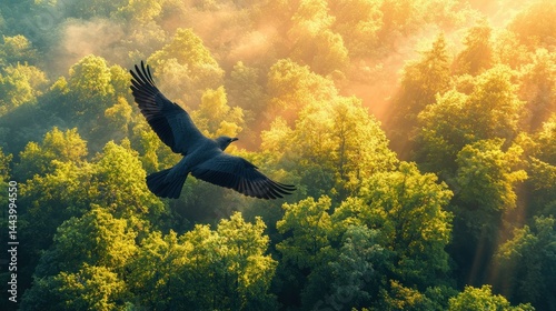 Obraz na płótnie Majestic bird soaring above a misty forest at sunrise w salonie