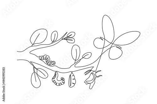 Continuous one line drawing of butterfly life cycle . Single line drawing illustration of perfect metamorphosis . Beauty butterfly concept vector art. Doodle line illustration.