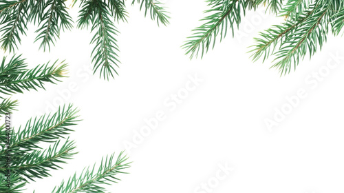 Festive Christmas Tree Branches Forming a Decorative Frame isolated on White Background