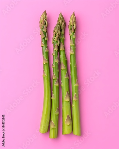 Four spears of vibrant green asparagus arranged vertically against a bright pink background