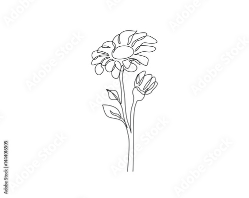 Beautiful sunflower outline drawing illustration. one continuous line drawing of sunflower.