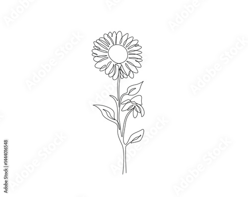 Beautiful sunflower outline drawing illustration. one continuous line drawing of sunflower.