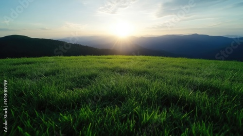 Lush green grass field at sunset over mountain range