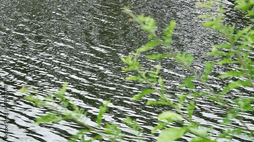 The water in the river moves slowly and naturally.
