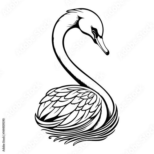 Elegant swan illustration with refined lines, capturing serenity and grace