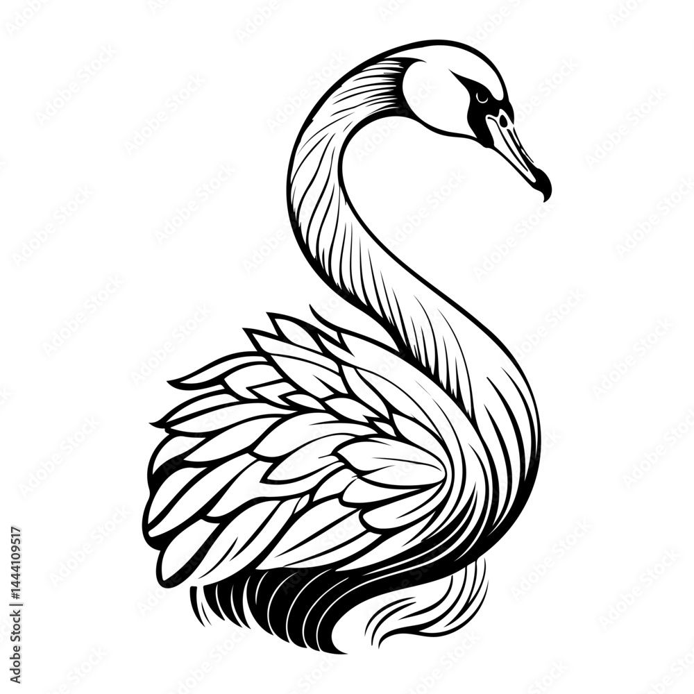 Fototapeta premium Elegant Swan Illustration: A graceful avian depiction in monochrome artwork