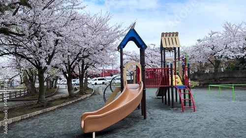 Children’s playground under cherry blossoms in full bloom, Sakura Park Aomori, Japan