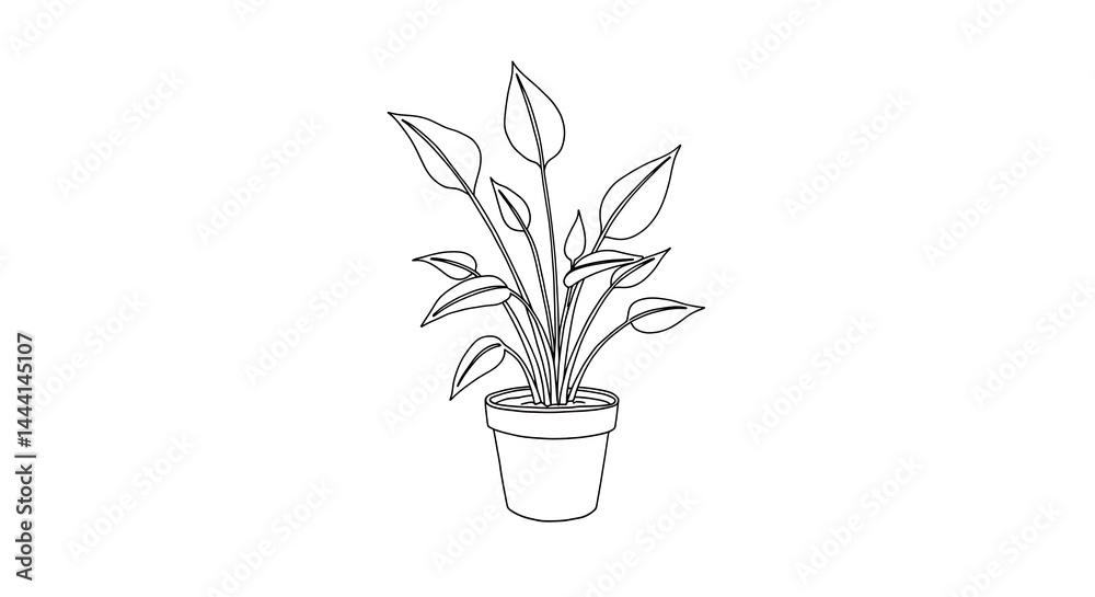 Fototapeta premium plant pot design decoration 