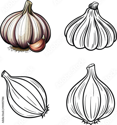 Collection of Garlic Line Art Vector Fresh Food Design