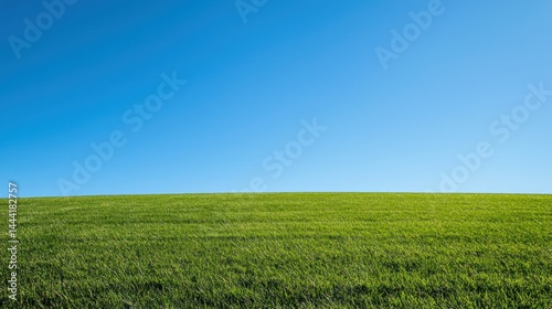 A freshly mowed front lawn with a clear blue sky in the background