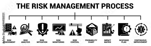 The Risk Management Process