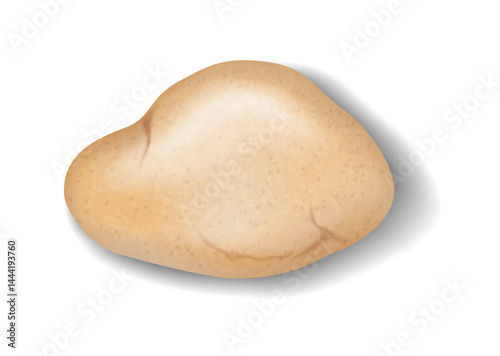 Realistic illustration of a brown potato with natural textures and subtle shadows. Depicts food and cooking ingredients. Perfect for culinary and nutrition themes.
