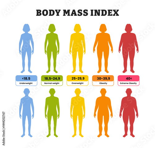 Body mass index chart poster design, labeled man and woman silhouette, educational medical healthcare scheme, BMI scale of health, obesity and overweight. Female and male body with different weight.