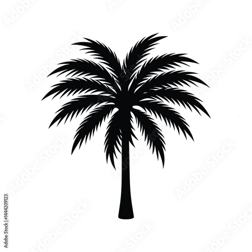Palm Tree with Large Bushy Leaves Silhouette