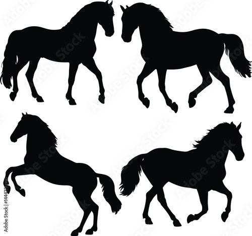 Black horse silhouettes in dynamic poses with elegant equine forms on white background – minimalist symmetrical animal art, vector-style equestrian illustration