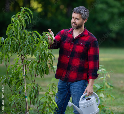 Obraz na płótnie Mature gardener growing plants in garden. Gardener plant tree in backyard. Gardener man plant tree. Gardening with watering can. Home garden. Yard with fruit tree. Gardener planting tree at orchard. w salonie