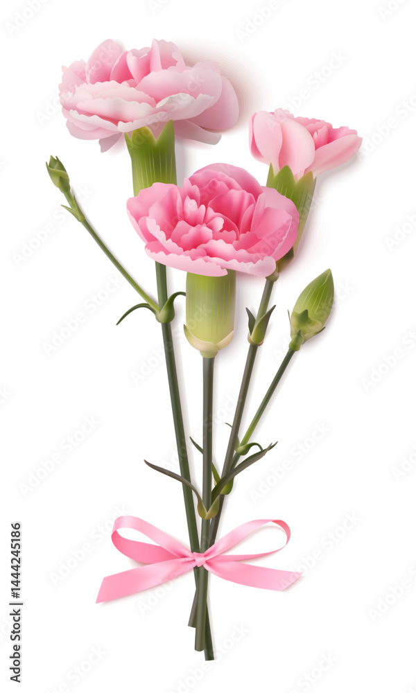 Fototapeta premium Bouquet of realistic pink carnation tied with a pink bow isolated on white. Decoration for Mother's day or spring holiday. Vector stock illustration.