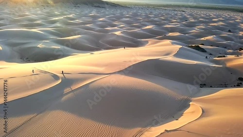 sand dunes in the desert