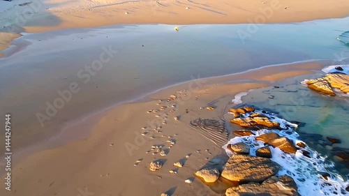 tropical beach scene
