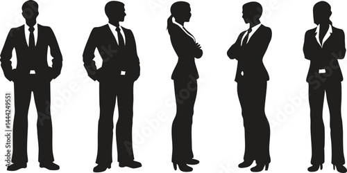 Business Team Silhouettes Standing in Professional Poses