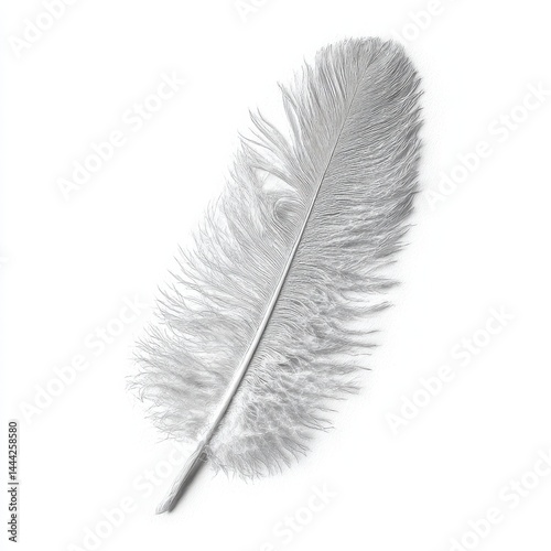 Elegant feather close up isolated on white background