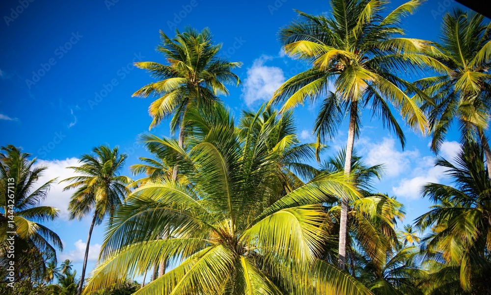 custom made wallpaper toronto digitalLush palm trees under a vibrant blue sky, capturing the essence of a tropical paradise.