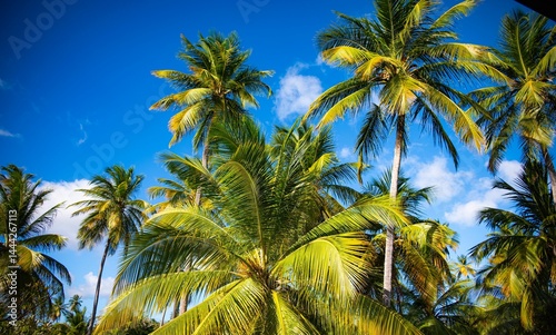 Wallpaper Mural Lush palm trees under a vibrant blue sky, capturing the essence of a tropical paradise. Torontodigital.ca