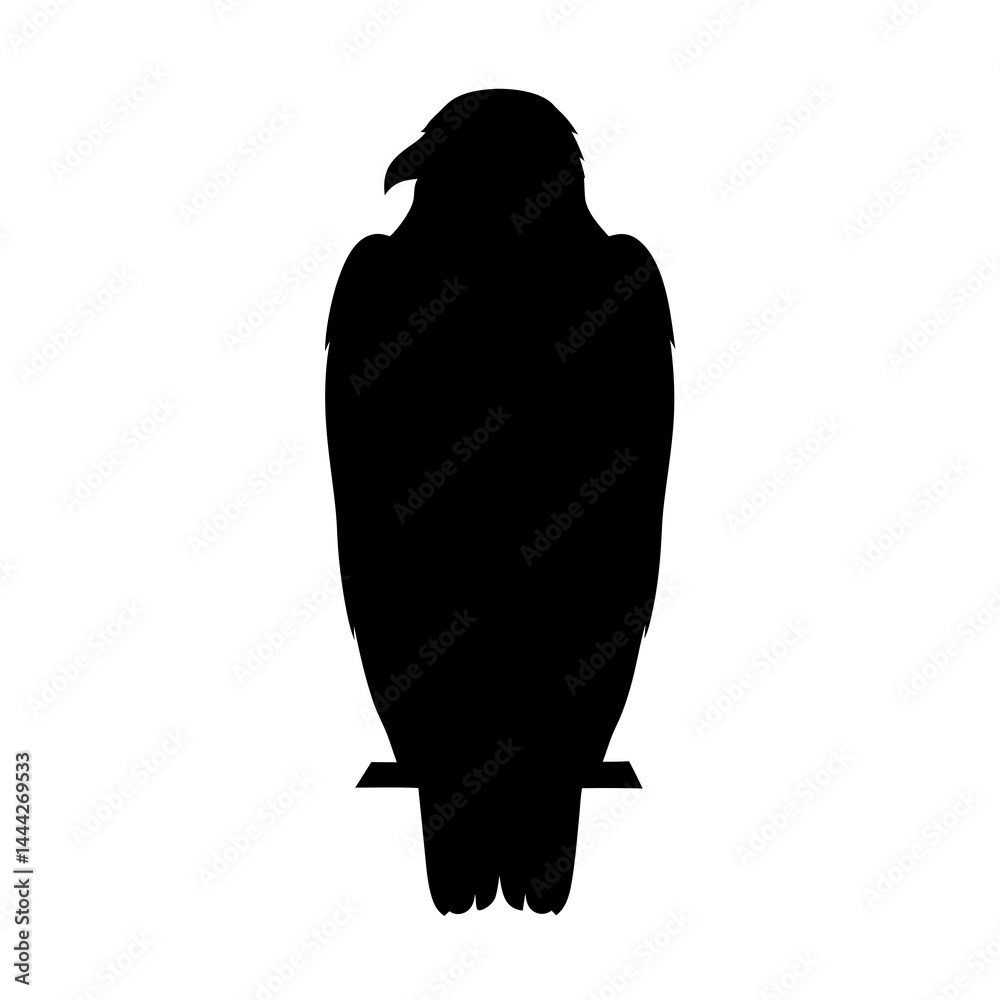Fototapeta premium Silhouette of a vulture, black bird scavenger with detailed feathers in side view