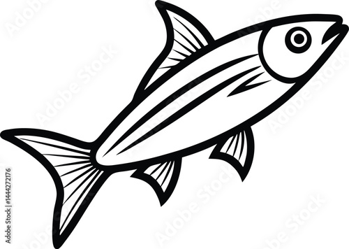 herring fish outline vector illustration  on white background