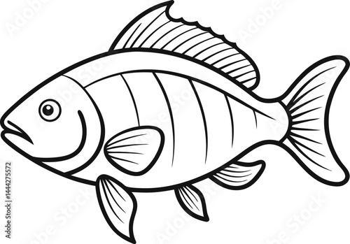 tilapia fish outline vector on white background