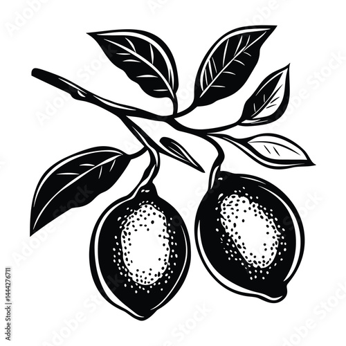 Silhouette illustration of tropical fruit with leaves in black and white