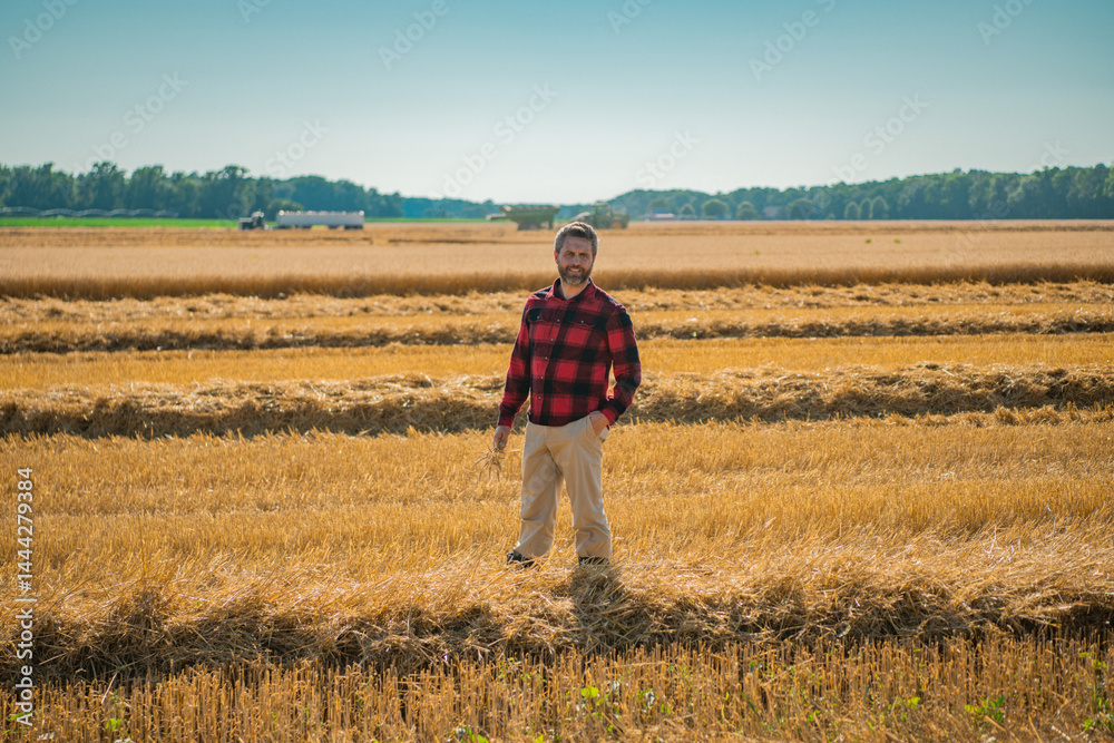 The harvest. Man working on farm field. Farming in the countryside. Farm landscape with farmer man on field. Farmer man harvesting ripe barley. Man checking the harvest. Farmer inspecting the harvest.