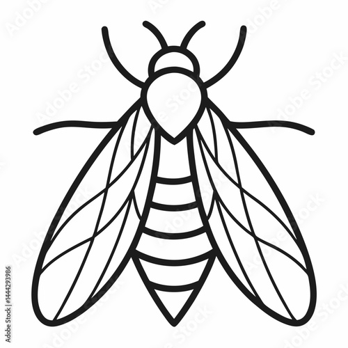vector illustration of a black wasp