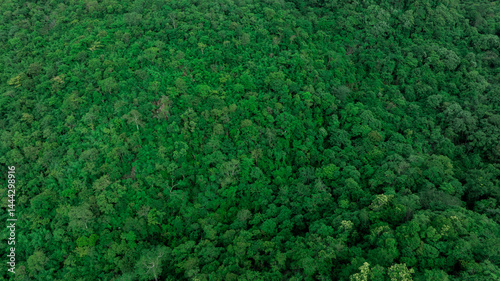 Obraz na płótnie aerial view of dark green forest Abundant natural ecosystems of rainforest. Concept of nature forest preservation and reforestation. w salonie