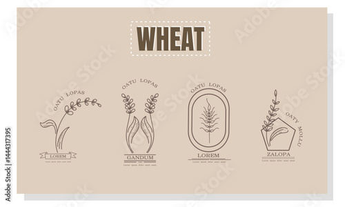 Wheat Logo Design Set for Organic Farm, Harvest, and Agriculture Use