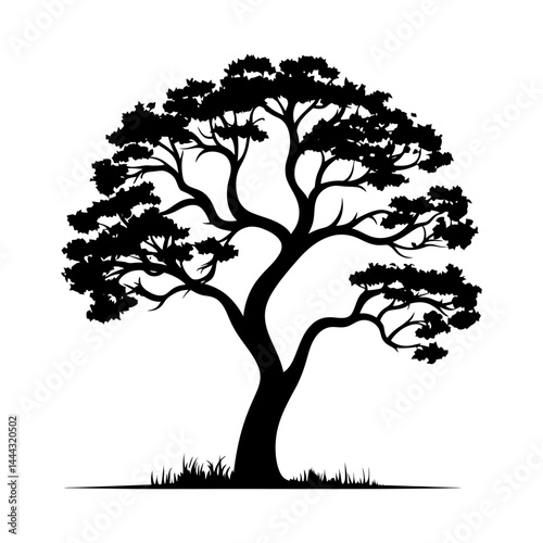 Single Tree Silhouette in Moonlit Night