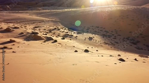 sand dunes in the desert