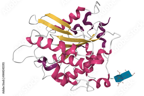 Structure of glycosylated murine glutaminyl cyclase. 3D cartoon model, secondary structure color scheme, pdb 3si1