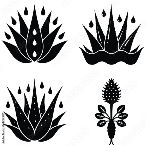 Aloe Vera Plants with Dripping Liquid, Stylized Flowering Plant Vector Illustration