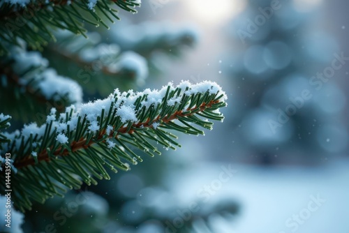 Delicate flakes gently settle on a frosty fir branch, festive decor, evergreen trees, winter wonderland