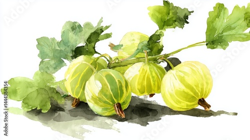 Watercolor artwork showcasing fresh organic gooseberries and vibrant green leaves in a simple, natural setting