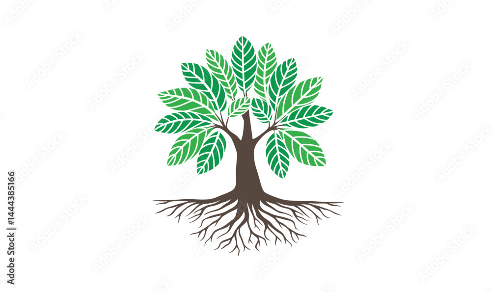 Obraz premium Tree vector illustrations roots mangrove tree vector isolated Oak tree silhouette white background