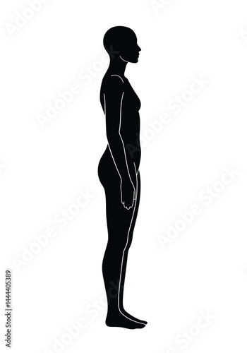 Side body silhouette. This image displays a sleek black side view of a human body, also referred to as a profile or side figure, shown in a clean and elegant style. Vector clipart illustration design.