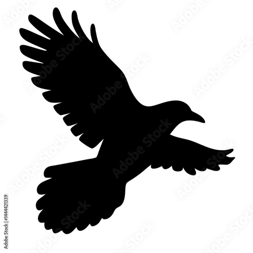 Silhouette of a powerful raven soaring through the air with wings spread