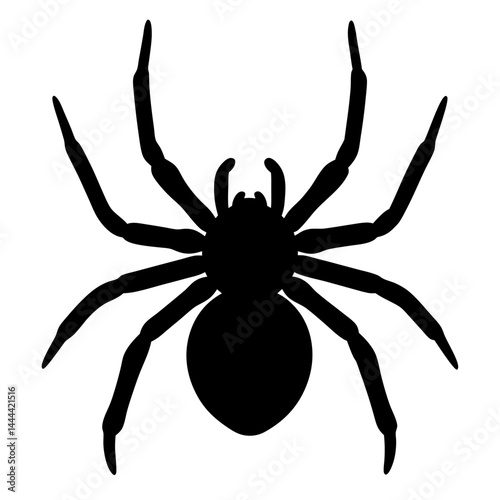 Silhouette of a spooky spider, ready to crawl into your Halloween nightmares